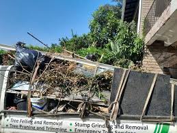Best Demolition Debris Removal  in Harbor Bluffs, FL