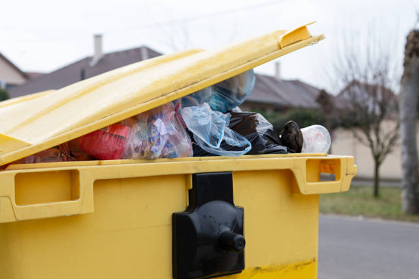 Best Yard Waste Removal  in Harbor Bluffs, FL